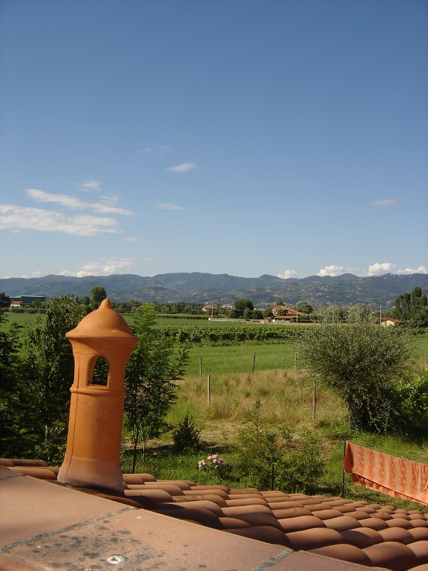 DSC09094_(600x800)